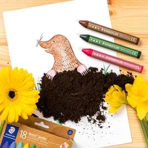 staedtler mrsni boici jambo junior